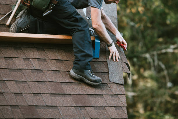 Best Metal Roofing Contractor  in Bonita, CA